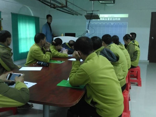 方特园林技术培训会3