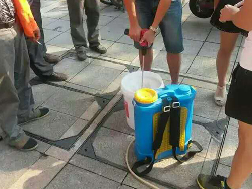 湘江风光带树杆刷白1