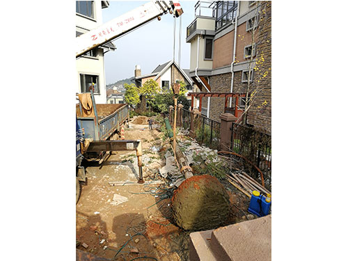 金丝楠木救治（3）