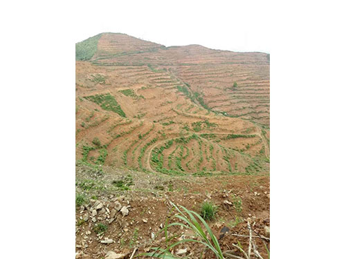 现场交流图集 (5)