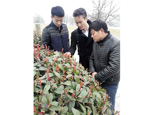 风光带管理处 (3)