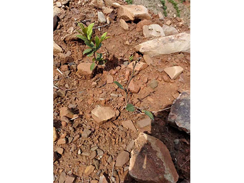 现场交流图集 (6)