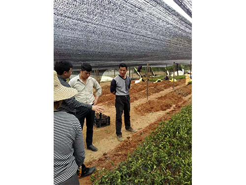 现场交流图集 (2)