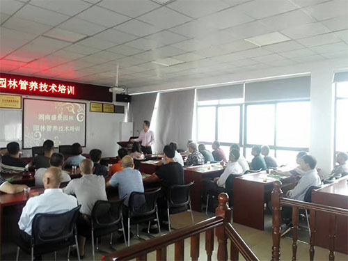 盛景园林养护技术培训课 (1)