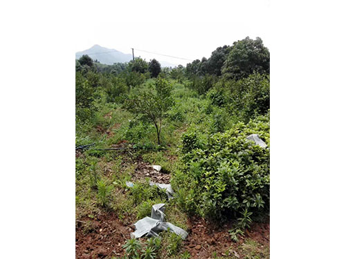 现场交流图集 (8)