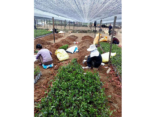 现场交流图集 (3)