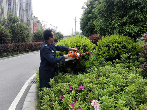 茶陵STIHL机械培训 (1)