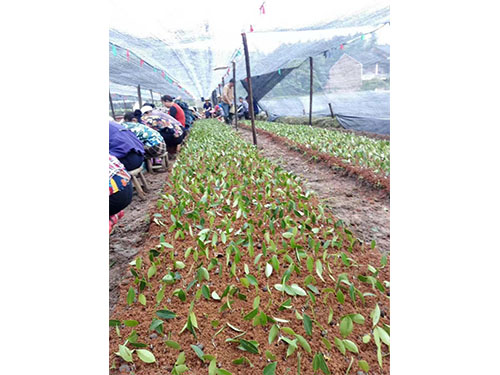 现场交流图集 (4)