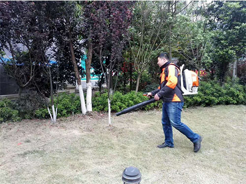 茶陵STIHL机械培训 (2)