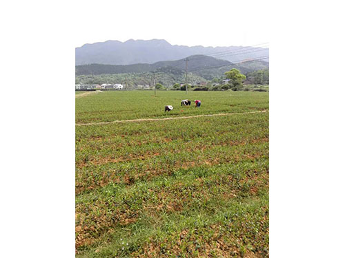 现场交流图集 (1)