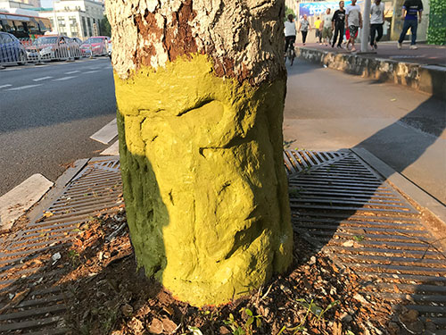 5.9树洞清理涂刷