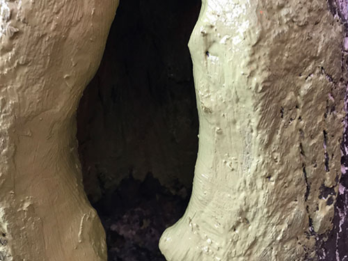 5.9树洞清理涂刷