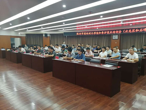 第六场——云龙区和石峰区分场