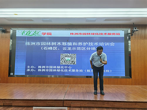 第六场——云龙区和石峰区分场