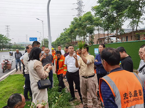 第一场——天元区园林局