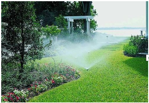 园林绿化苗木栽植养护技术，植友园林来为你解答