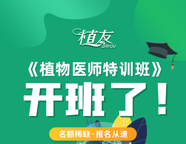 植物医师特训班