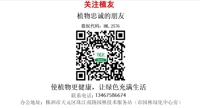 飞艇168历史开奖记录查询_株洲园林绿化养护|株洲绿化管理|病虫害防治哪里的好|株洲园林绿化工程公司|白蚁防治病虫害治理