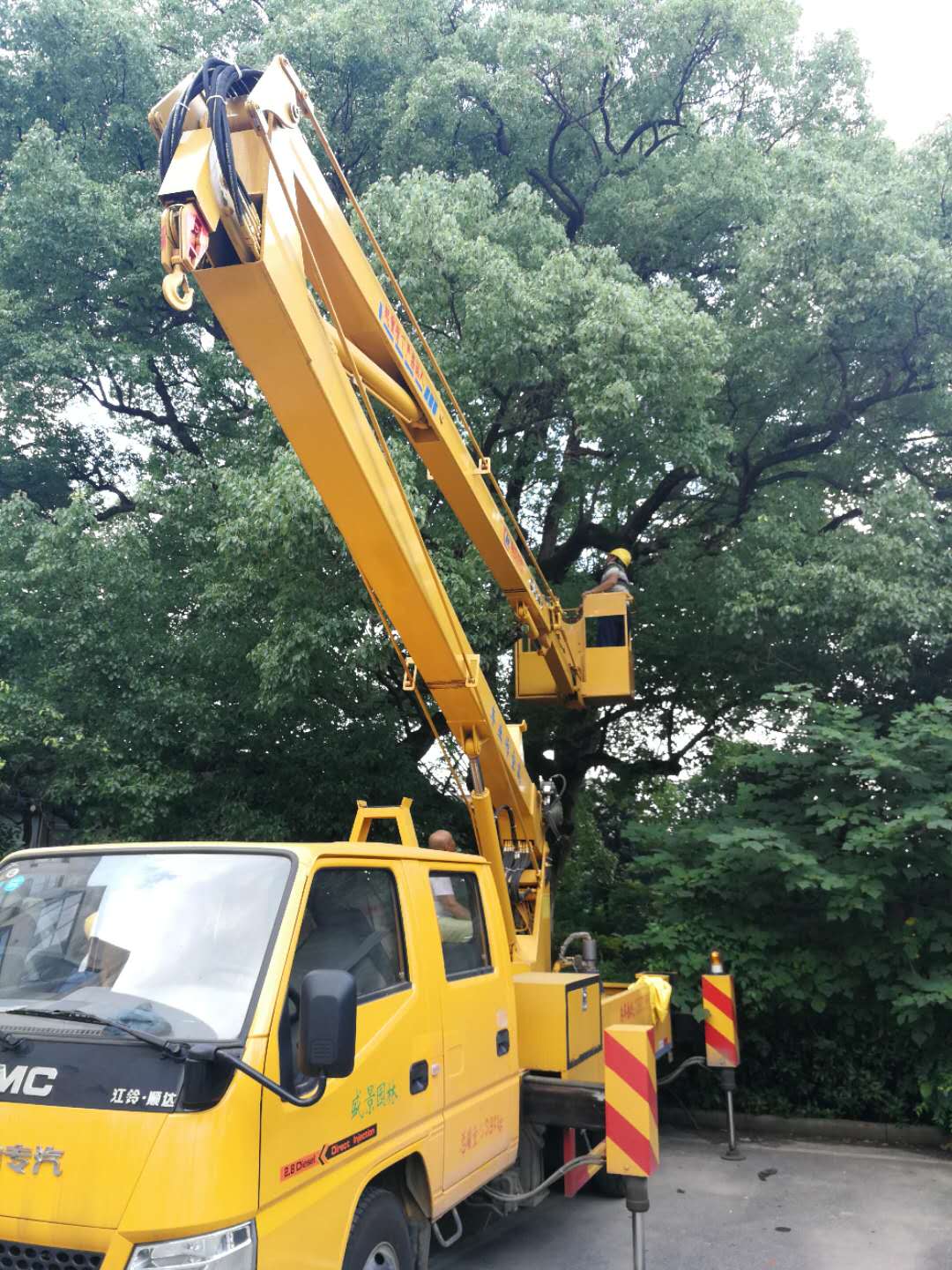 飞艇168历史开奖记录查询_株洲园林绿化养护|株洲绿化管理|病虫害防治哪里的好|株洲园林绿化工程公司|白蚁防治病虫害治理