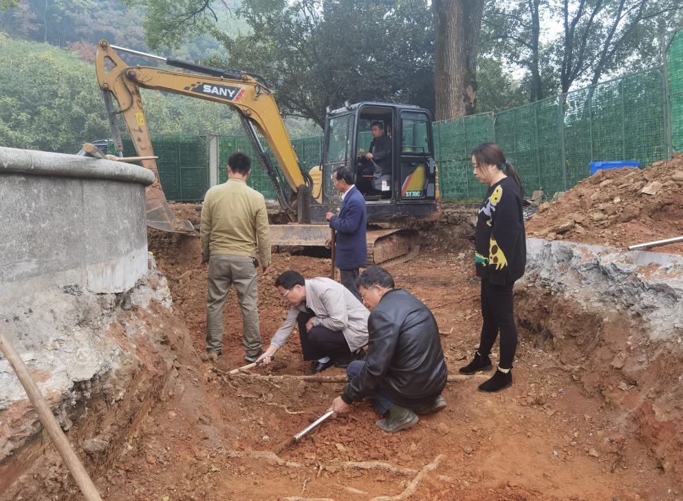 飞艇168历史开奖记录查询_株洲园林绿化养护|株洲绿化管理|病虫害防治哪里的好|株洲园林绿化工程公司|白蚁防治病虫害治理