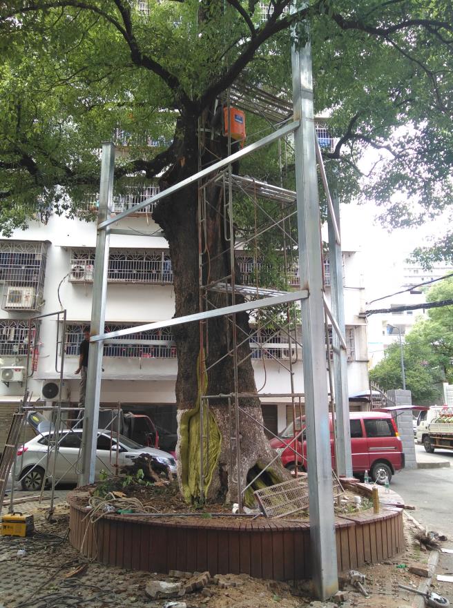 飞艇168历史开奖记录查询_株洲园林绿化养护|株洲绿化管理|病虫害防治哪里的好|株洲园林绿化工程公司|白蚁防治病虫害治理